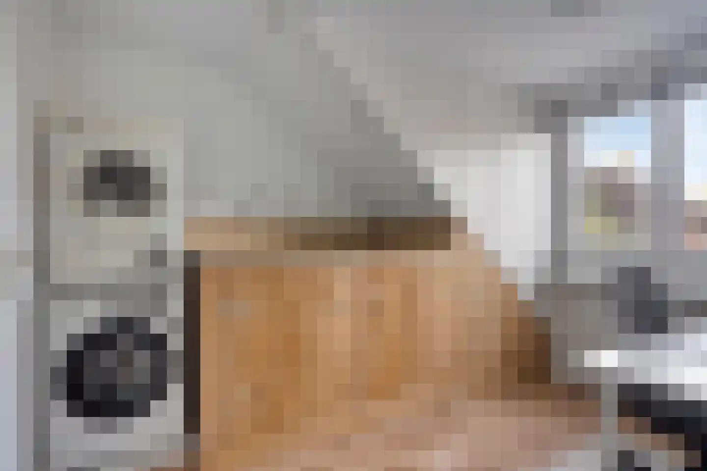 Watersniplaan 6 Alkmaar thumbnail 47
