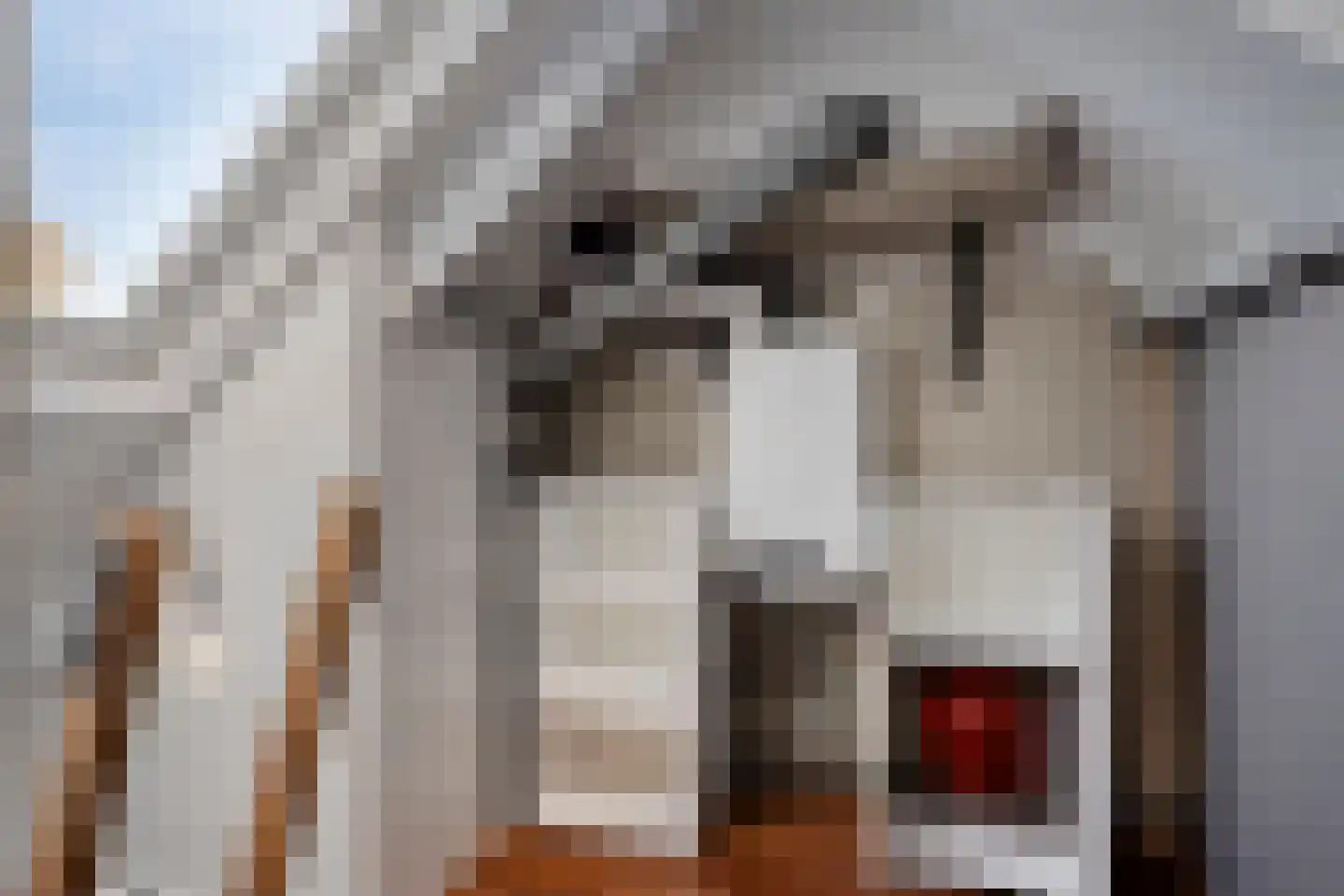 Watersniplaan 6 Alkmaar thumbnail 53