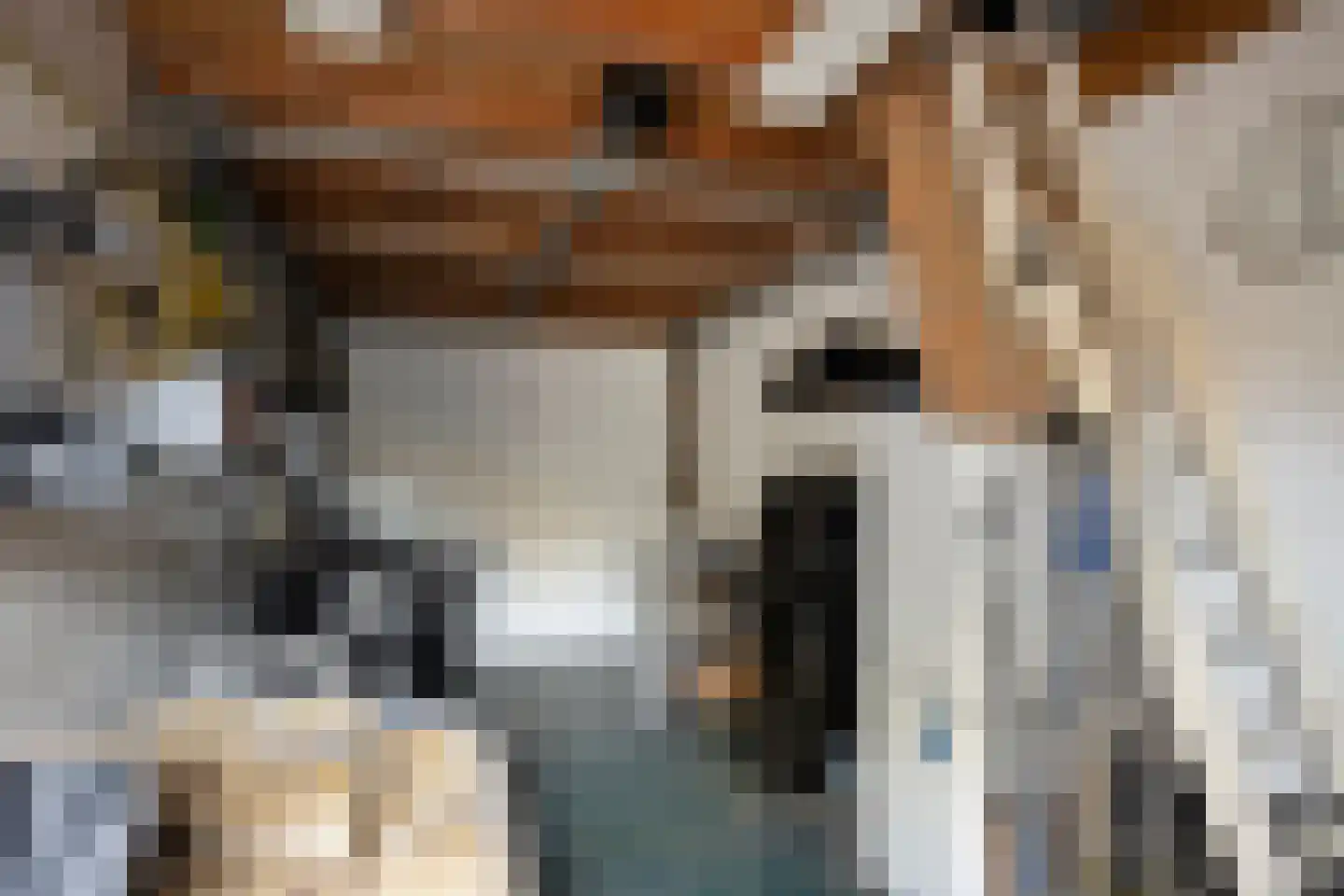Watersniplaan 6 Alkmaar thumbnail 56