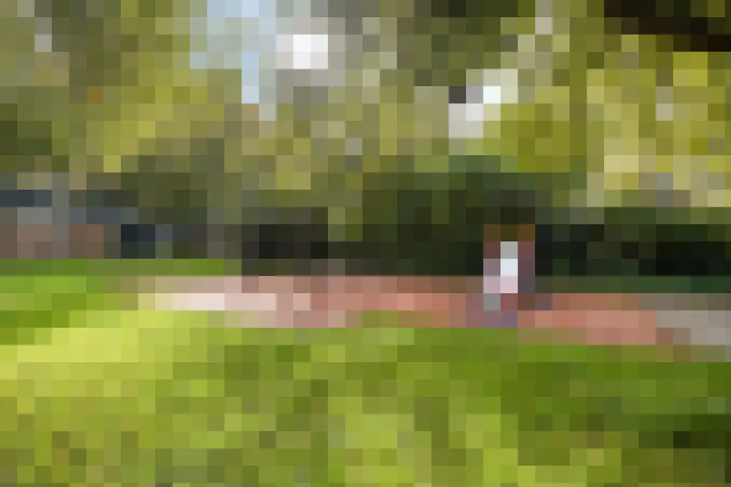 Watersniplaan 6 Alkmaar thumbnail 59