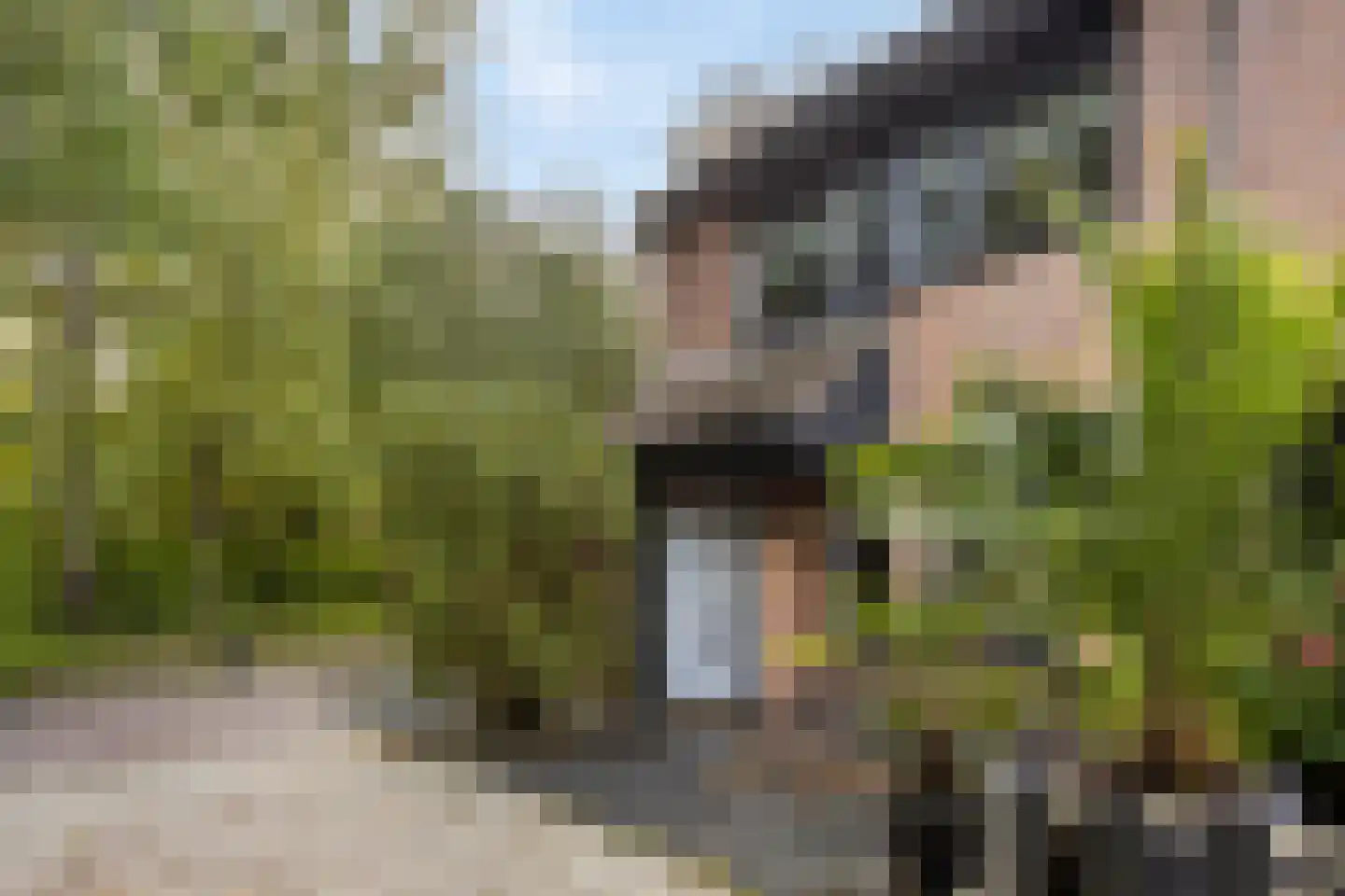 Watersniplaan 6 Alkmaar thumbnail 7