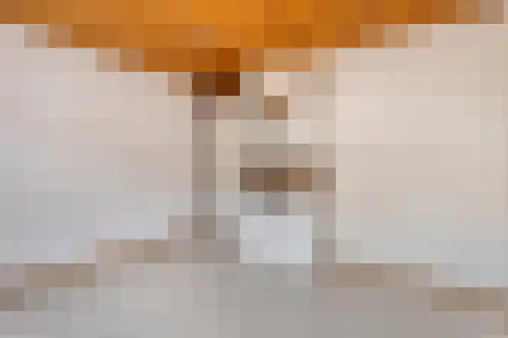 Watersnipstraat 100 Wijchen thumbnail 10