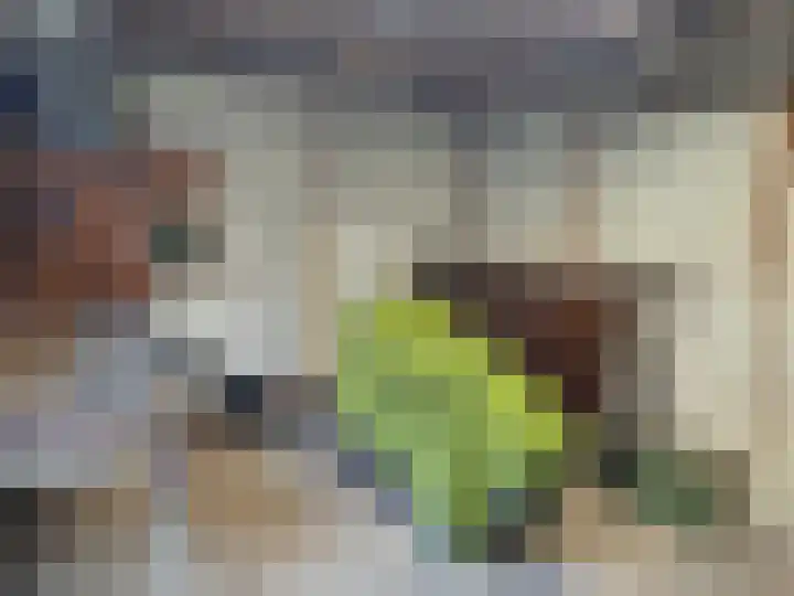 Watersnipstraat 100 Wijchen thumbnail 23