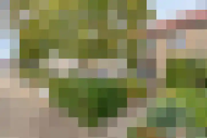 Watersnipstraat 100 Wijchen thumbnail 30