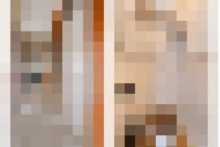Watersnipstraat 100 Wijchen thumbnail 7