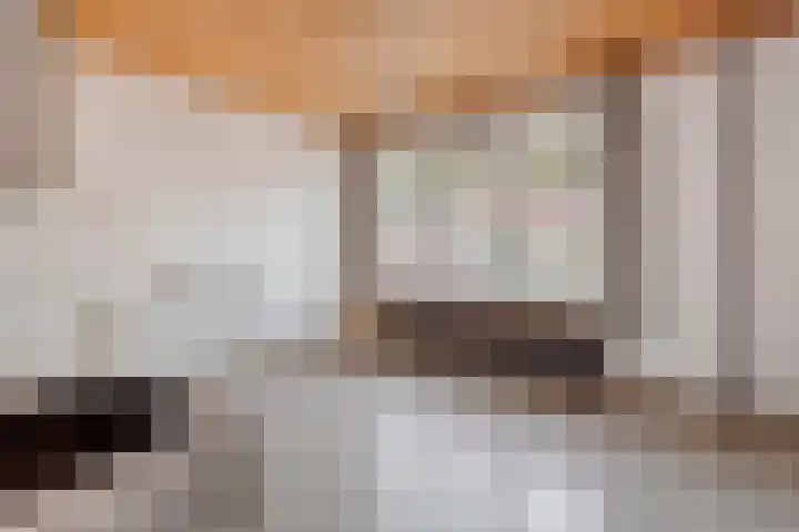 Watersnipstraat 100 Wijchen thumbnail 9