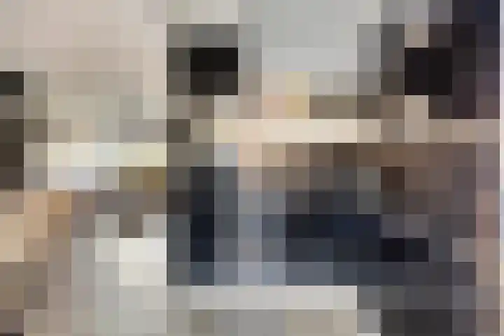 Watersnipstraat 106 Wijchen thumbnail 7