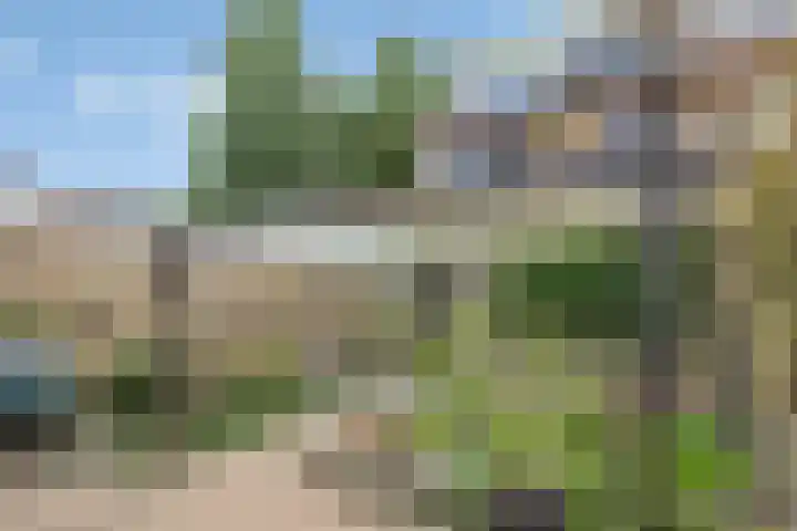 Watersnipstraat 110 Wijchen thumbnail 23