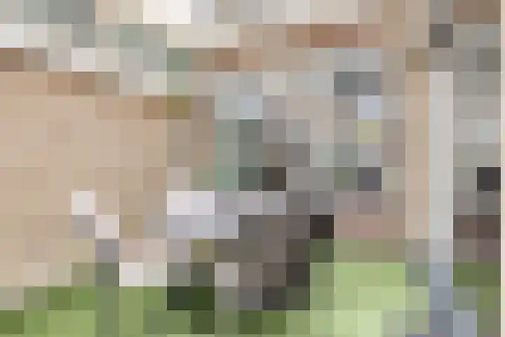 Watersnipstraat 110 Wijchen thumbnail 24