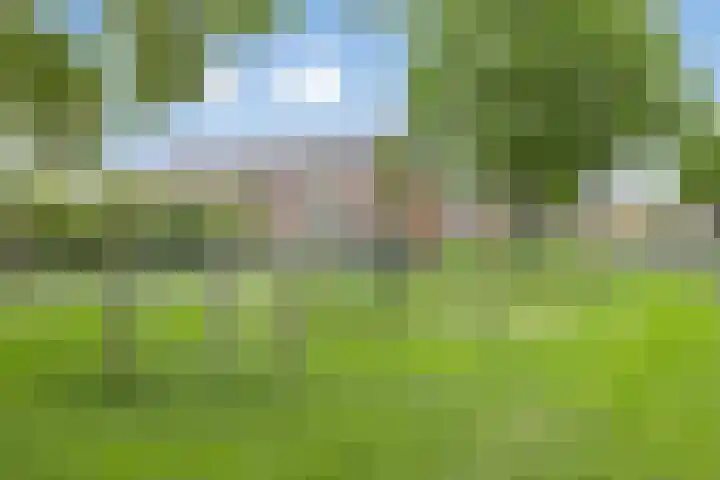 Watersnipstraat 110 Wijchen thumbnail 31