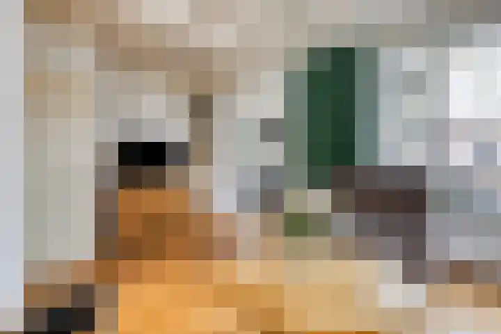 Watersnipstraat 110 Wijchen thumbnail 7