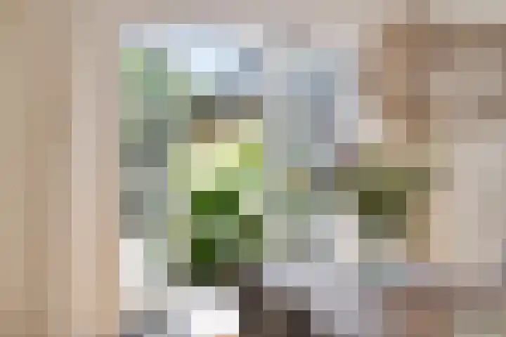 Watersnipstraat 13 Goor thumbnail 15
