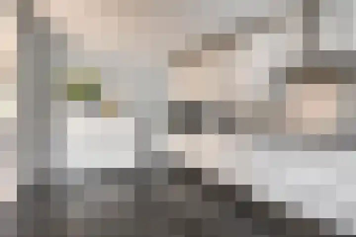 Watersnipstraat 13 Goor thumbnail 17
