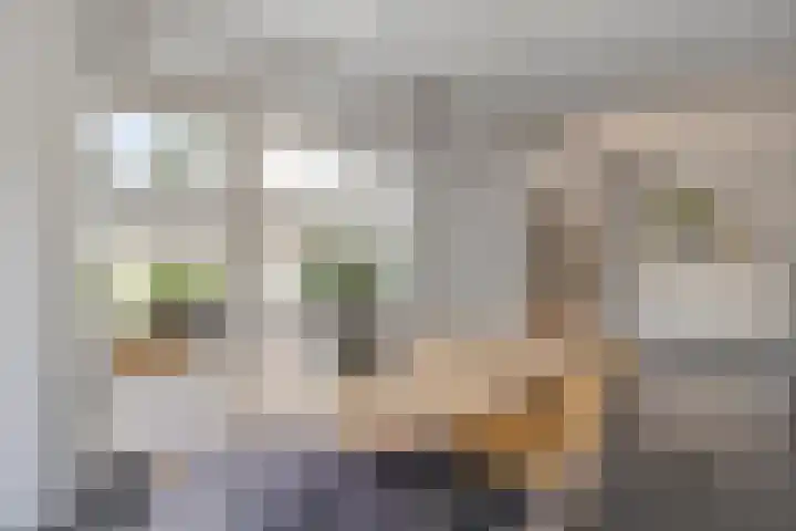 Watersnipstraat 13 Goor thumbnail 22