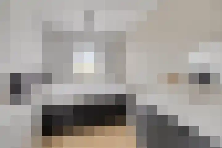 Watersnipstraat 13 Goor thumbnail 30