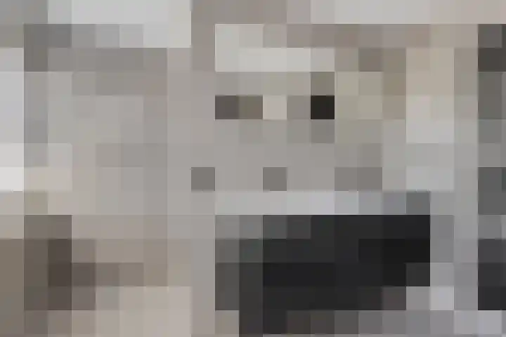 Watersnipstraat 13 Goor thumbnail 32