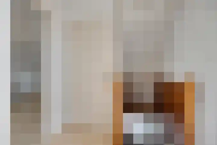 Watersnipstraat 13 Goor thumbnail 34