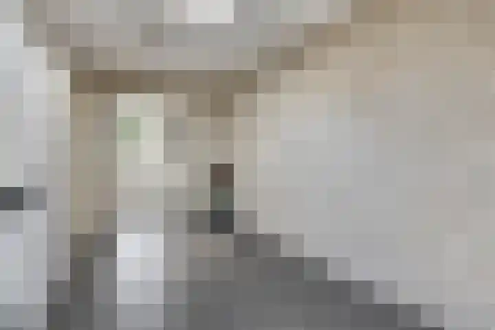 Watersnipstraat 13 Goor thumbnail 38