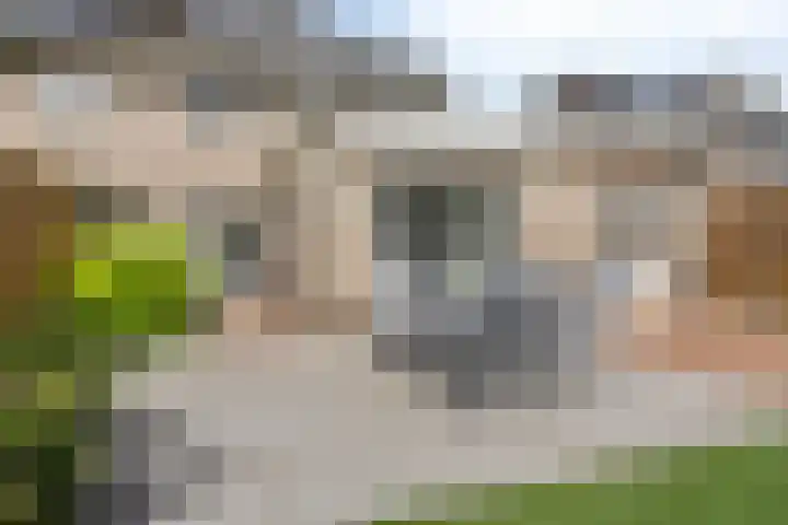 Watersnipstraat 13 Goor thumbnail 40
