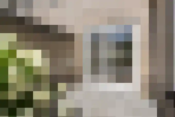 Watersnipstraat 13 Goor thumbnail 41