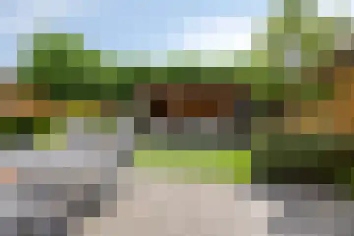 Watersnipstraat 13 Goor thumbnail 42