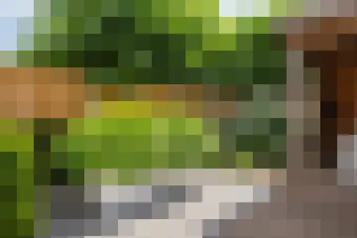 Watersnipstraat 13 Goor thumbnail 43