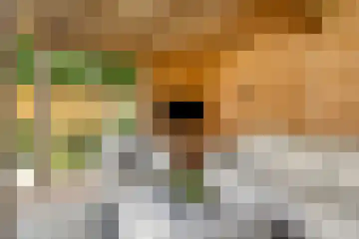 Watersnipstraat 13 Goor thumbnail 45