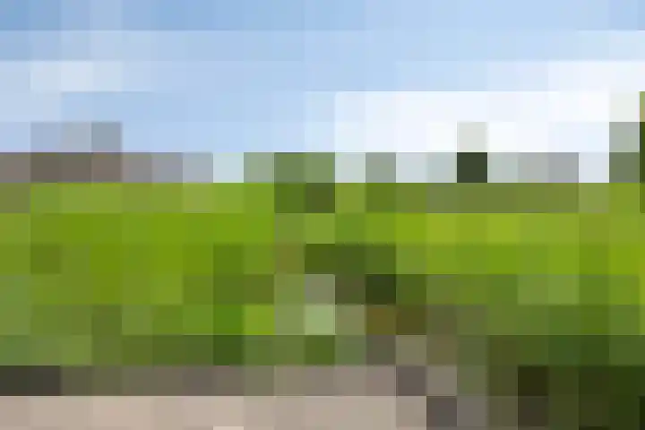 Watersnipstraat 13 Goor thumbnail 47