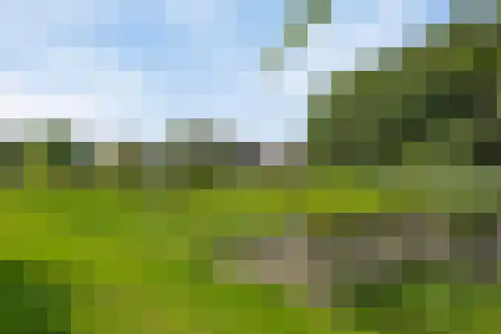 Watersnipstraat 13 Goor thumbnail 48