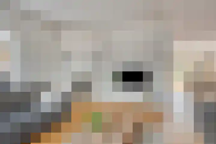 Watersnipstraat 13 Goor thumbnail 7