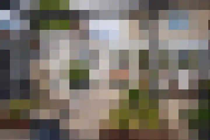 Watersnipstraat 19 Beneden-Leeuwen thumbnail 33