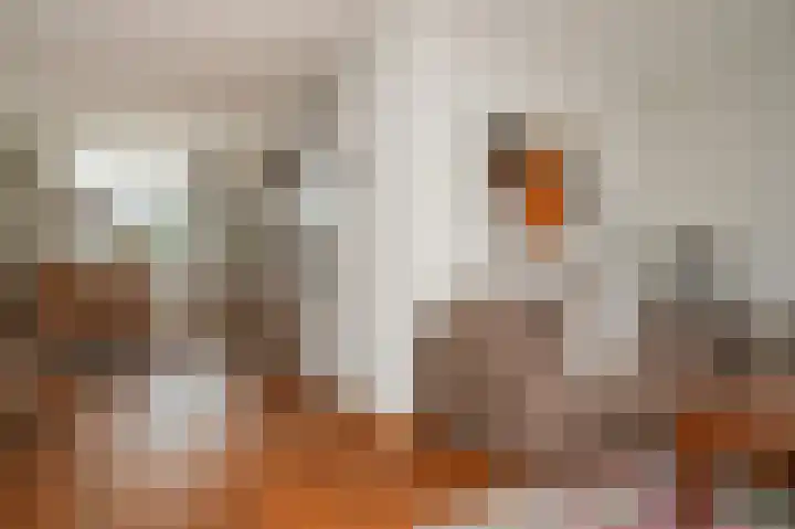 Watersnipstraat 19 Beneden-Leeuwen thumbnail 9