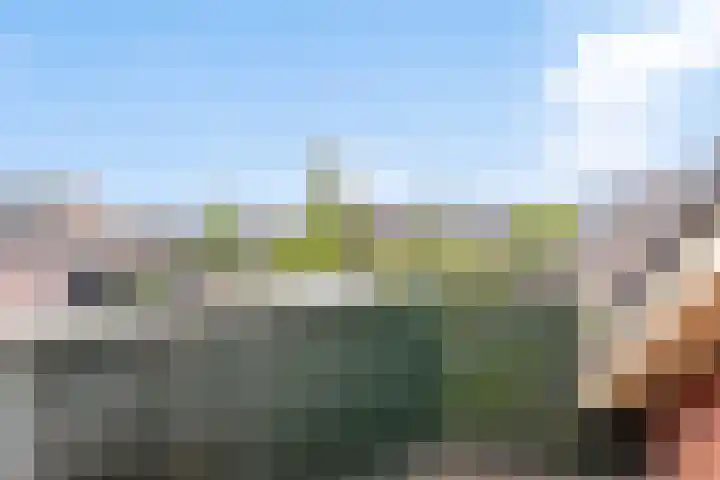 Watersnipstraat 22 Lichtenvoorde thumbnail 26