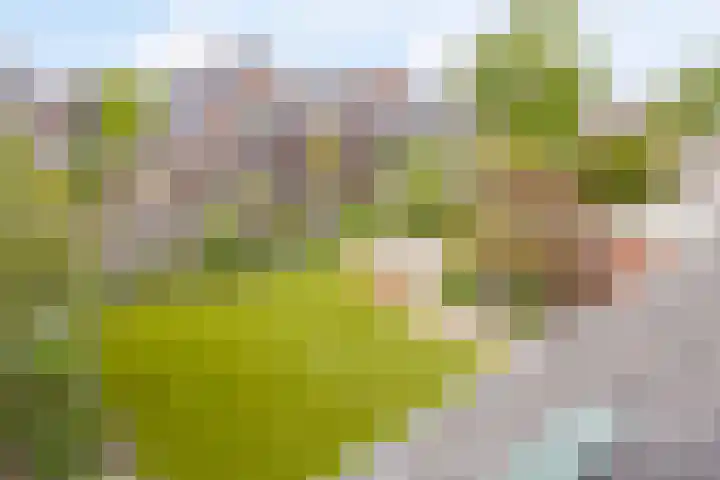 Watersnipstraat 22 Lichtenvoorde thumbnail 27