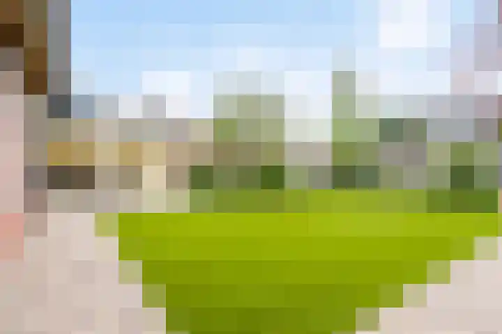 Watersnipstraat 22 Lichtenvoorde thumbnail 30