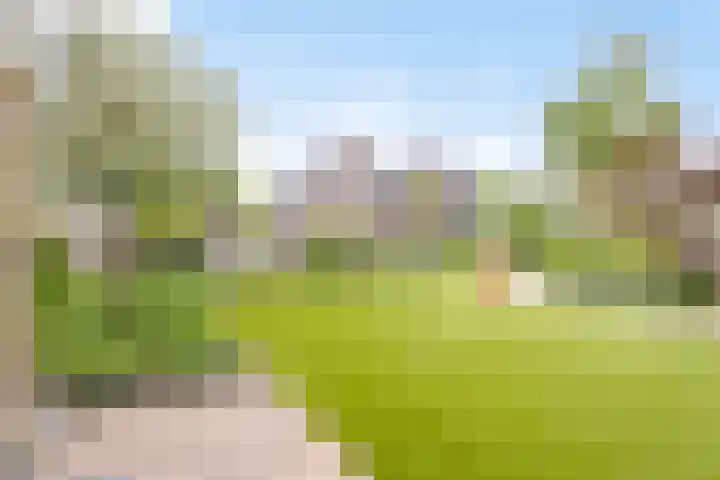 Watersnipstraat 22 Lichtenvoorde thumbnail 31