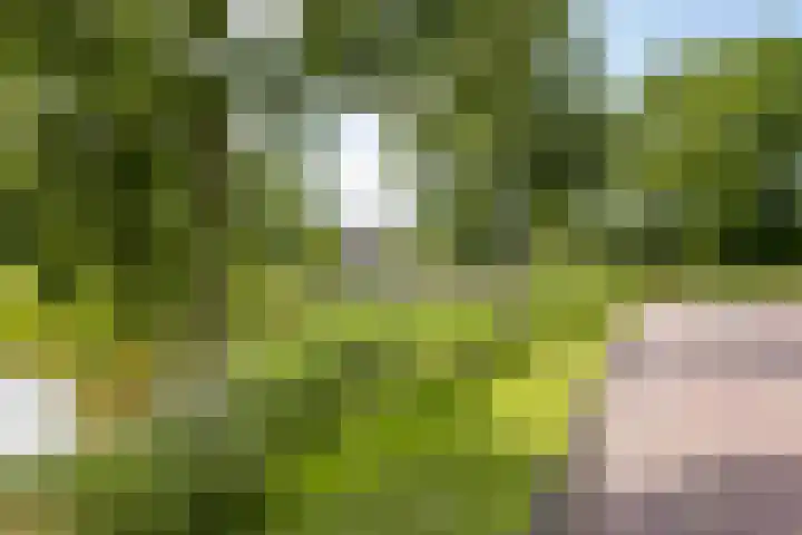 Watersnipstraat 22 Lichtenvoorde thumbnail 36