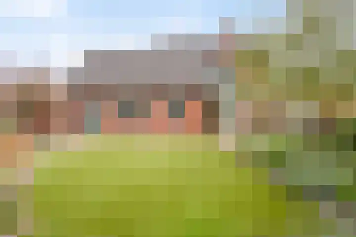 Watersnipstraat 22 Lichtenvoorde thumbnail 4