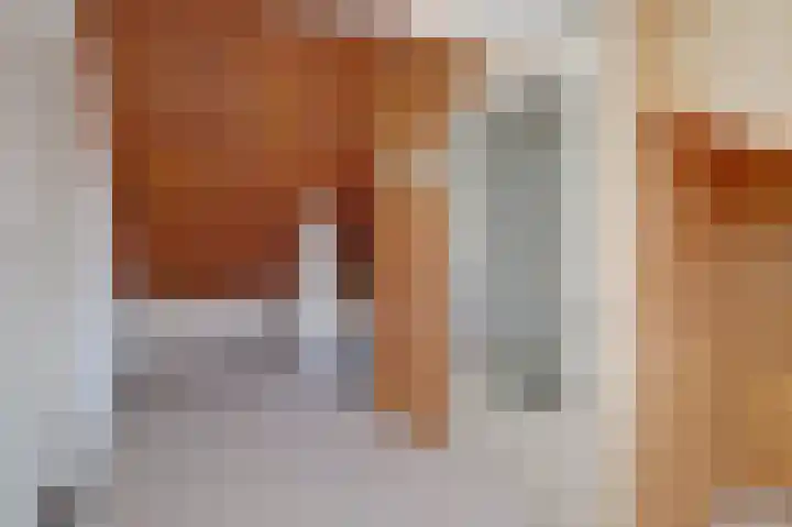 Watersnipstraat 42 Wijchen thumbnail 34