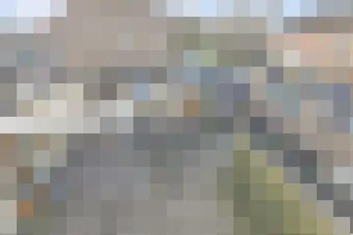 Watersnipstraat 42 Wijchen thumbnail 37