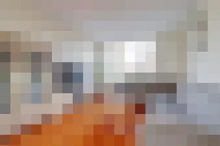 Watersnipstraat 42 Wijchen thumbnail 5