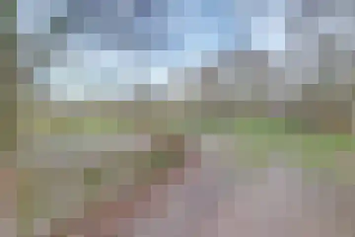 Watersnipstraat 42 Wijchen thumbnail 52
