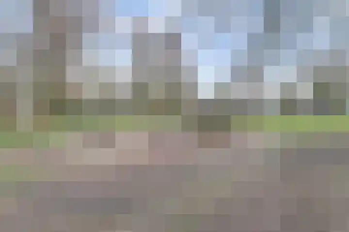 Watersnipstraat 42 Wijchen thumbnail 53