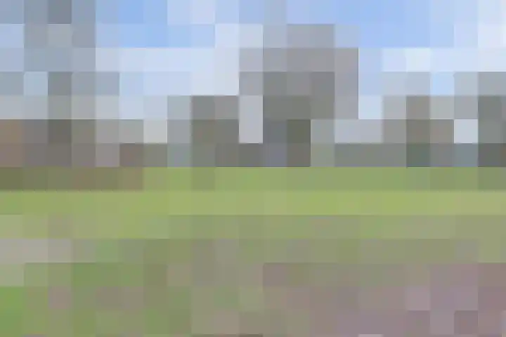 Watersnipstraat 42 Wijchen thumbnail 54