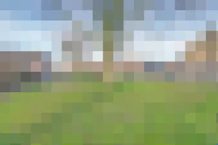 Watersnipstraat 42 Wijchen thumbnail 55