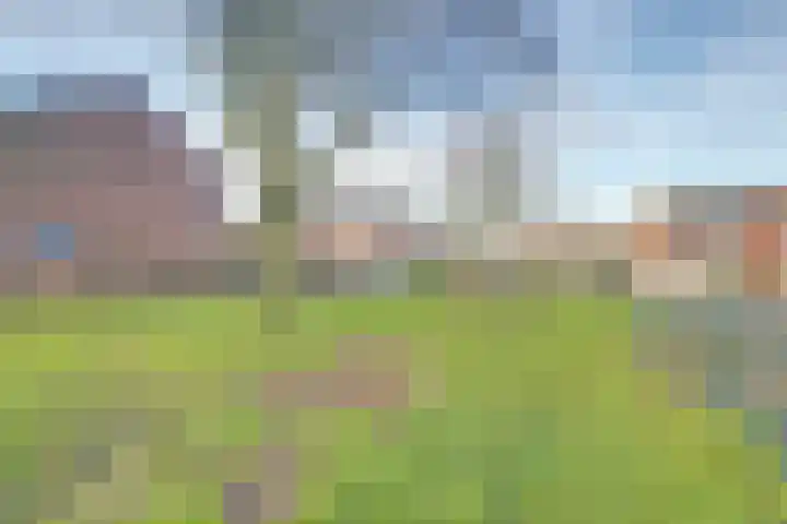 Watersnipstraat 42 Wijchen thumbnail 56