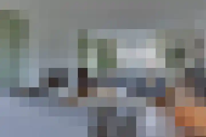 Watersnipstraat 6 Lichtenvoorde thumbnail 10