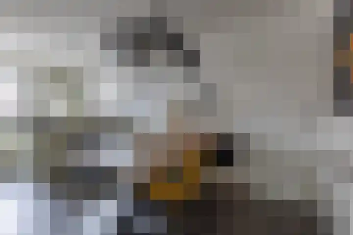 Watersnipstraat 6 Lichtenvoorde thumbnail 13
