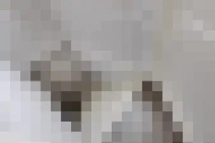 Watersnipstraat 6 Lichtenvoorde thumbnail 22