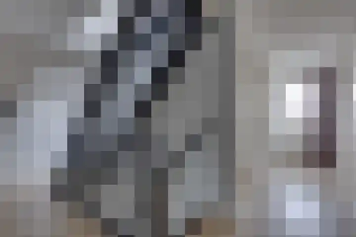 Watersnipstraat 6 Lichtenvoorde thumbnail 34